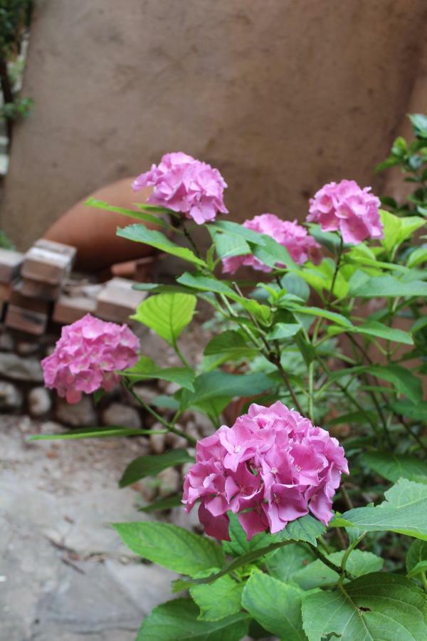 דירות מנדלו דל לאריו Il Giardino Dei Fiori מראה חיצוני תמונה